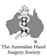 The Australian Hand Surgery Society